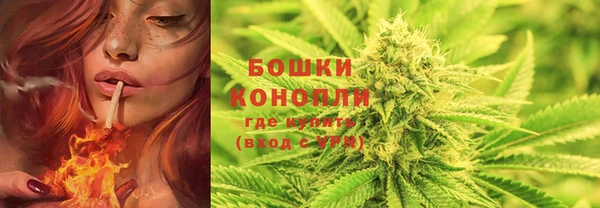наркотики Бородино